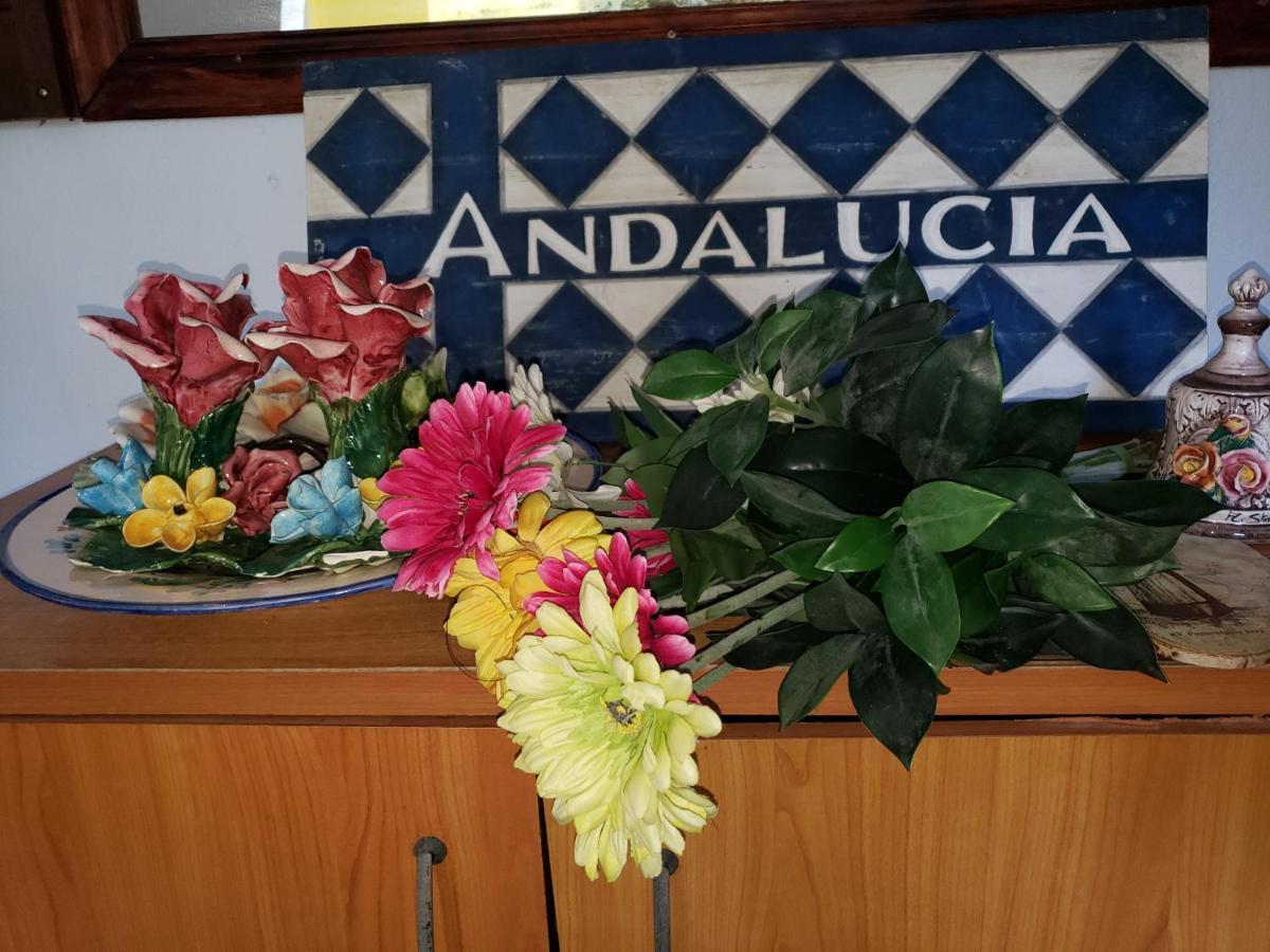 Andalucia Guest House San Juan Exterior photo