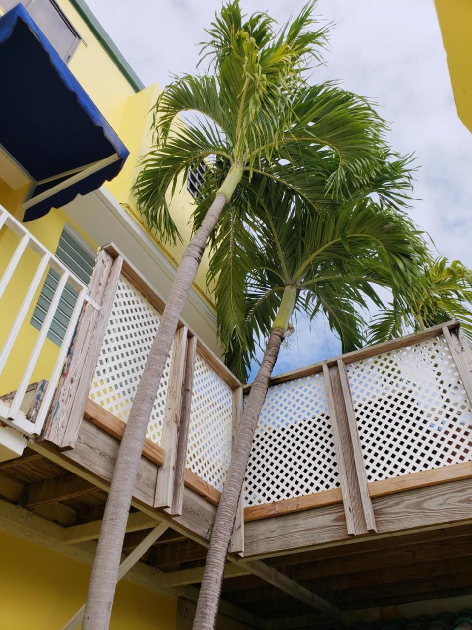 Andalucia Guest House San Juan Exterior photo